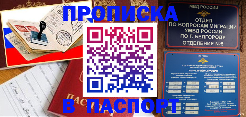 купить прописку в Черноголовке